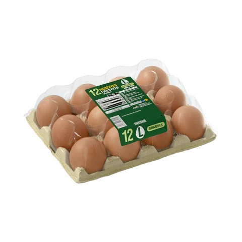 Dos huevos