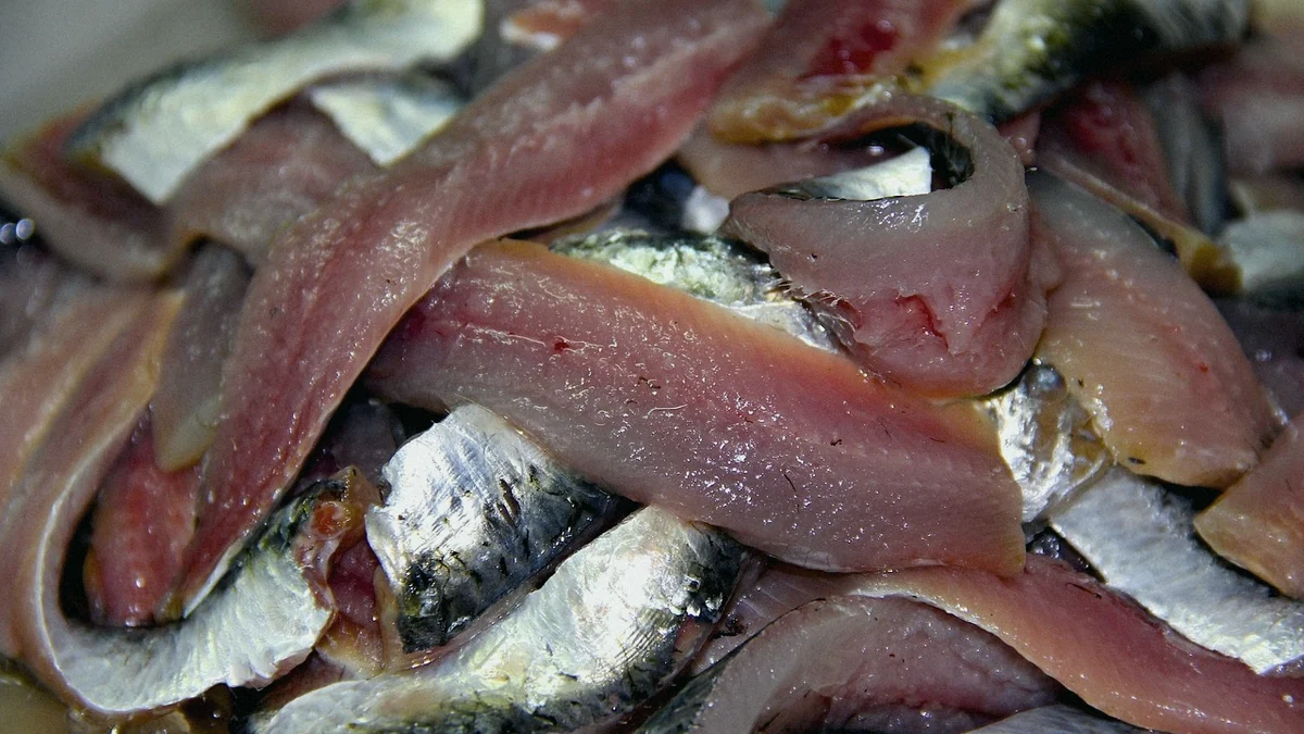 Sardinas frescas amontonadas